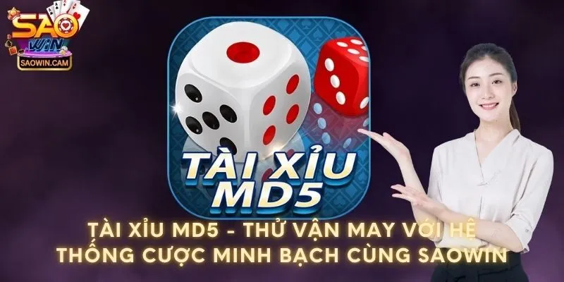 Tài Xỉu MD5 - Thử vận may với hệ thống cược minh bạch cùng Saowin